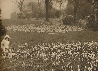 Baharın Çiğdem Halısı, c1935. by Unbekannt