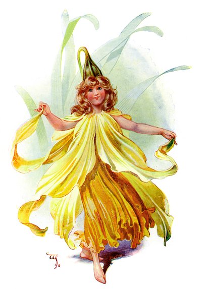 Nergis, 1899 by Unbekannt