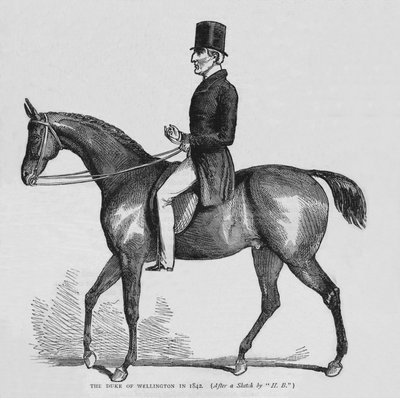 Wellington Dükü, 1842 1878 by Unbekannt