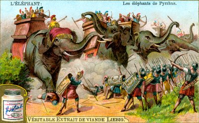 Pyrrhus'un Filleri, c1900 by Unbekannt