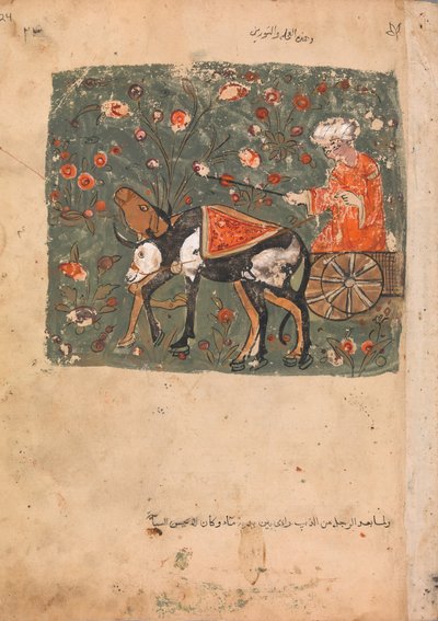 Bir Kervana Katılmak İçin Yola Çıkan Bir Oğul