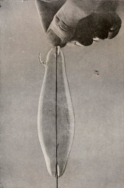 İlk Akkor Elektrik Lambası, c1916 by Unbekannt