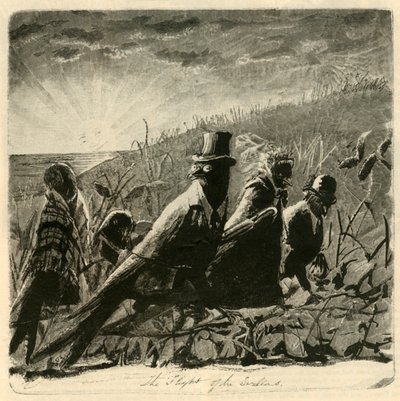 Kırlangıçların Uçuşu, 1882. by Unbekannt