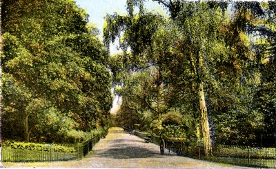The Flower Walk, Kensington Gardens, Londra, 20th Century by Unbekannt