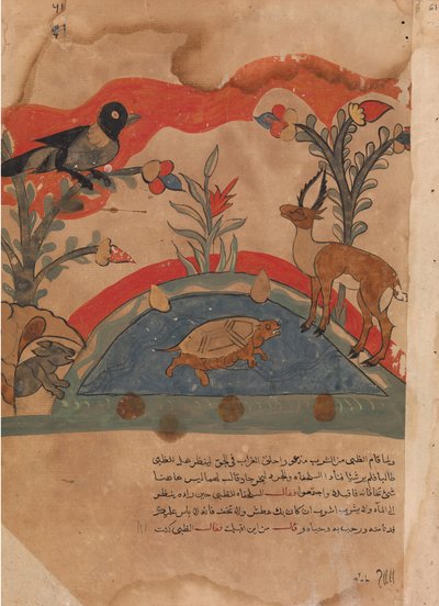 Ceylan Karga, Fare ve Kaplumbağa ile Dost Olur..., 18. yüzyıl. by Unbekannt