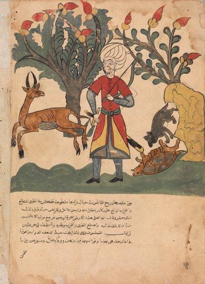 Fare Bağlanmış Kaplumbağayı Serbest Bırakırken Ceylan Avcıyı Çekiyor..., 18. yüzyıl. by Unbekannt