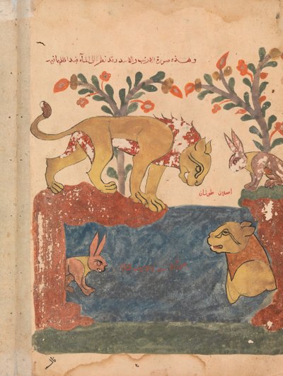 Tavşan, Aslan ve Kuyu, bir Kalila ve Dimna