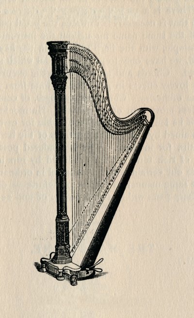 Arp, 1895. by Unbekannt