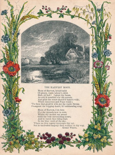 Hasat Ayı, Kirke White, c1900 by Unbekannt