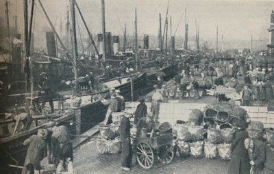 Tüm Hızıyla Ringa Mevsimi, 1937 by Unbekannt