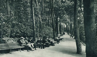 Geçersizler Yürüyüşü, c1910 by Unbekannt