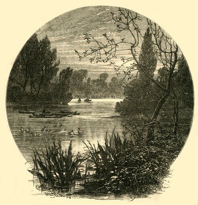 Göl, Battersea Parkı, c1878. by Unbekannt