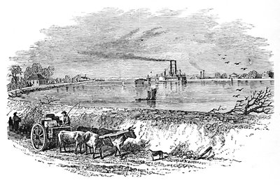 Levee, 1883 by Unbekannt
