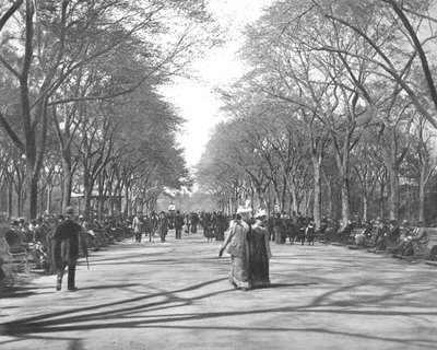 Alışveriş Merkezi, Central Park, New York, ABD, c1900. by Unbekannt