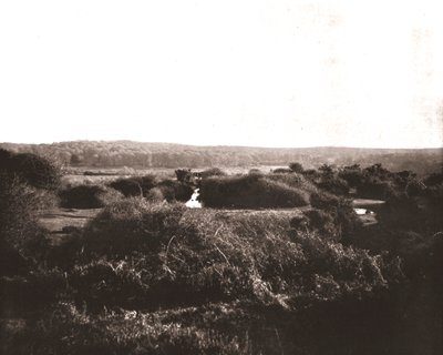 Yeni Orman, Hampshire, 1894. by Unbekannt