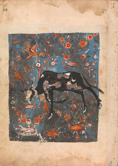 Geride Kalan Öküz Shanzabeh, Aslan Kralın Topraklarında Otlayan..., 18. yüzyıl. by Unbekannt