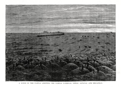 Pampa Demiryolu, Güney Amerika ovaları, 1877 by Unbekannt