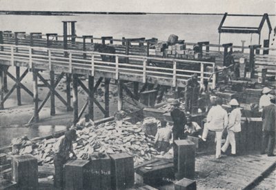 İnci Balıkçılık Endüstrisi - Paketleme Kabuğu, 1923. by Unbekannt