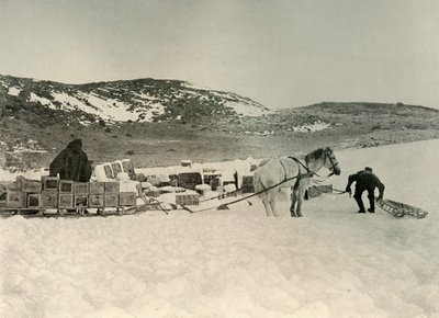 Pont Quan Bir Kızak Yükü Mağazayı Çekmek Üzere, c1908, 1909 by Unbekannt