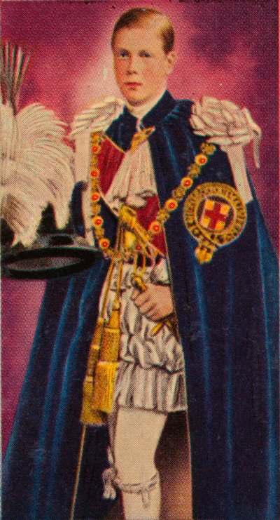 Galler Prensi, Jartiyer Şövalyesi olarak göreve başladı, 1911 1935 by Unbekannt