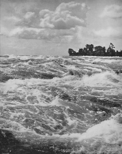 Amerikan Düşüşünün Üstündeki Rapids, 19. yüzyıl by Unbekannt