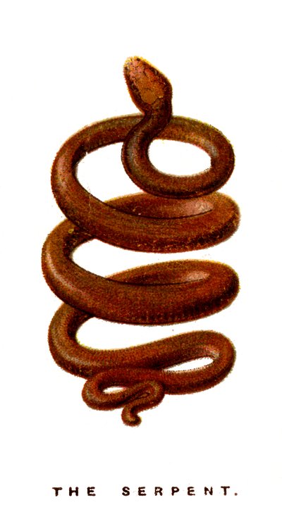 Yılan, 1923 by Unbekannt