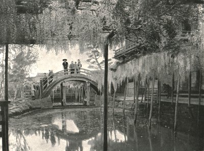 Te New Ginoike Pon d Plan d Wisteria, Kameido, Toi, Japonya, 1895. by Unbekannt