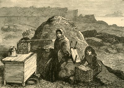 İrlanda Eyaleti: Errismore Yakınlarında Tahliye Edilmiş Bir Aile, c1880. by Unbekannt