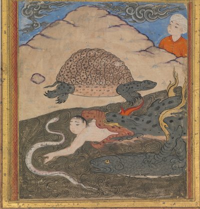 Kaplumbağa, bir 