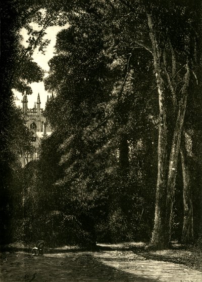 Merton Kulesi, Bahçeden, 1898. by Unbekannt