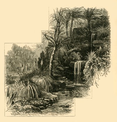 Tropikal Bahçeler, Battersea Parkı, c1878. by Unbekannt