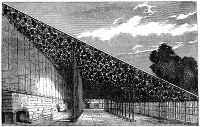 Hampton Court