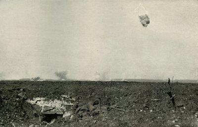 Yünlü Ayı., 1919. by Unbekannt