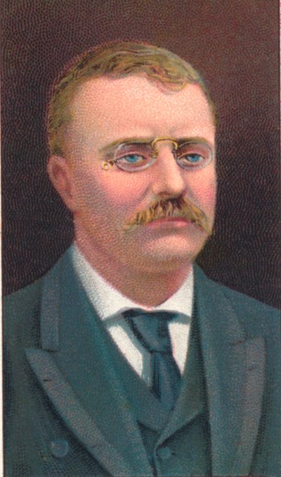 Theodore Roosevelt 1858-1919, Amerika Birleşik Devletleri