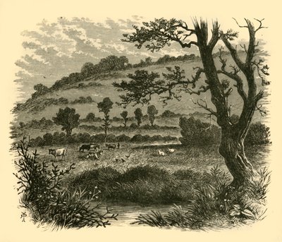 Devedikeni, 1898. by Unbekannt