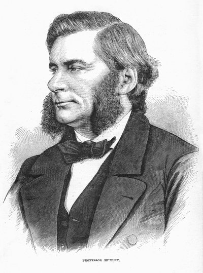Thomas Henry Huxley, İngiliz biyolog, c1860