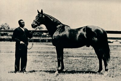 Safkan yarış atı, Man O War, c1920 by Unbekannt