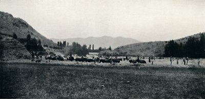 Mısırın Eski Bir Şekilde Harmanlanması, 1911 by Unbekannt