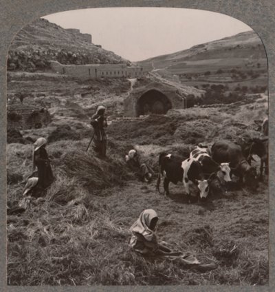 Jacobs Well, c1900 yakınlarında harman tahılı by Unbekannt