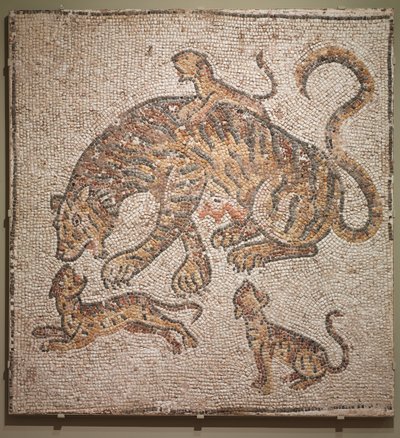 Kaplan ve Yavrular, 300