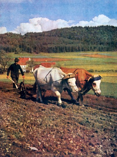 Tilling, Almanya, 1943 by Unbekannt