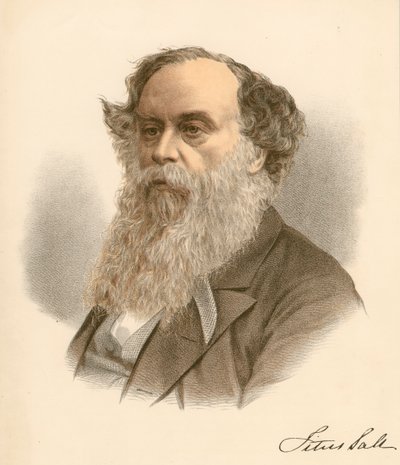 Titus Salt, İngiliz yün zımbacısı ve sanayici, c1880 by Unbekannt
