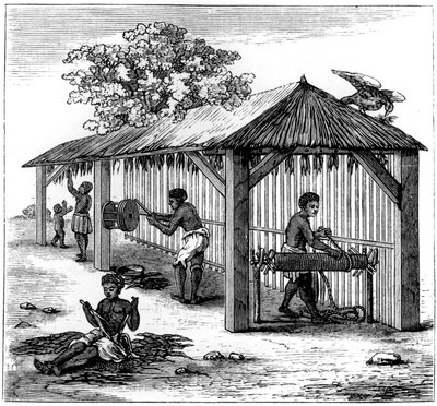 Tütün hazırlama, 1873 by Unbekannt