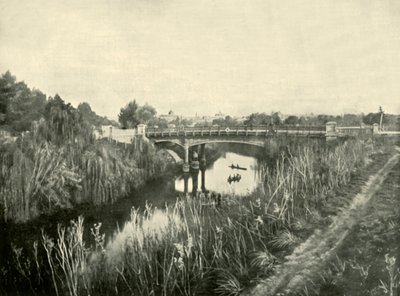 Torrens Gölü, Adelaide, 1901. by Unbekannt