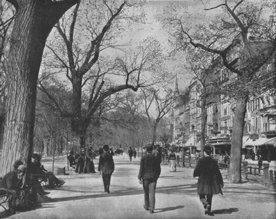 Tremont Caddesi ve The Common, Boston, ABD, c1900. by Unbekannt
