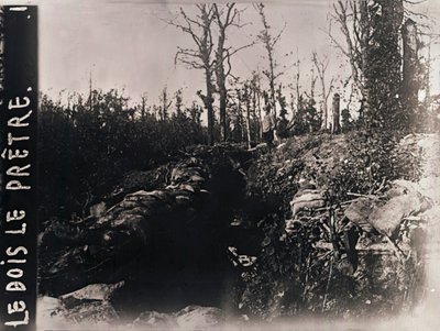 Siperler, Bois-le-Prêtre, Lorraine, kuzey Fransa, c1914-c1918 by Unbekannt