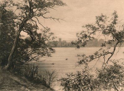 Trentham Salonu, 1902 by Unbekannt