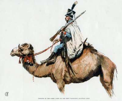 Birinci Napolyon Mısır Ordusu