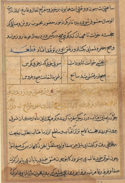 Tuti-Nama (Bir Papağan Masalları) by Unbekannt Unbekannt