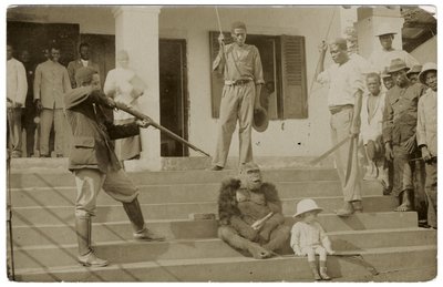 Evcilleştirilmiş bir goril, c.1910 (s / b fotoğraf) by Unbekannt